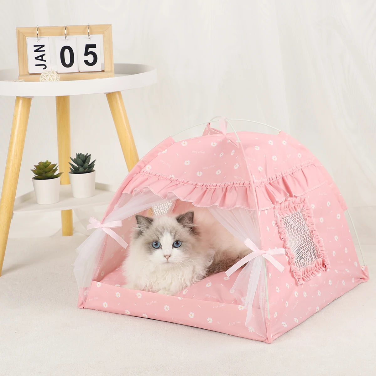 Cat Bed