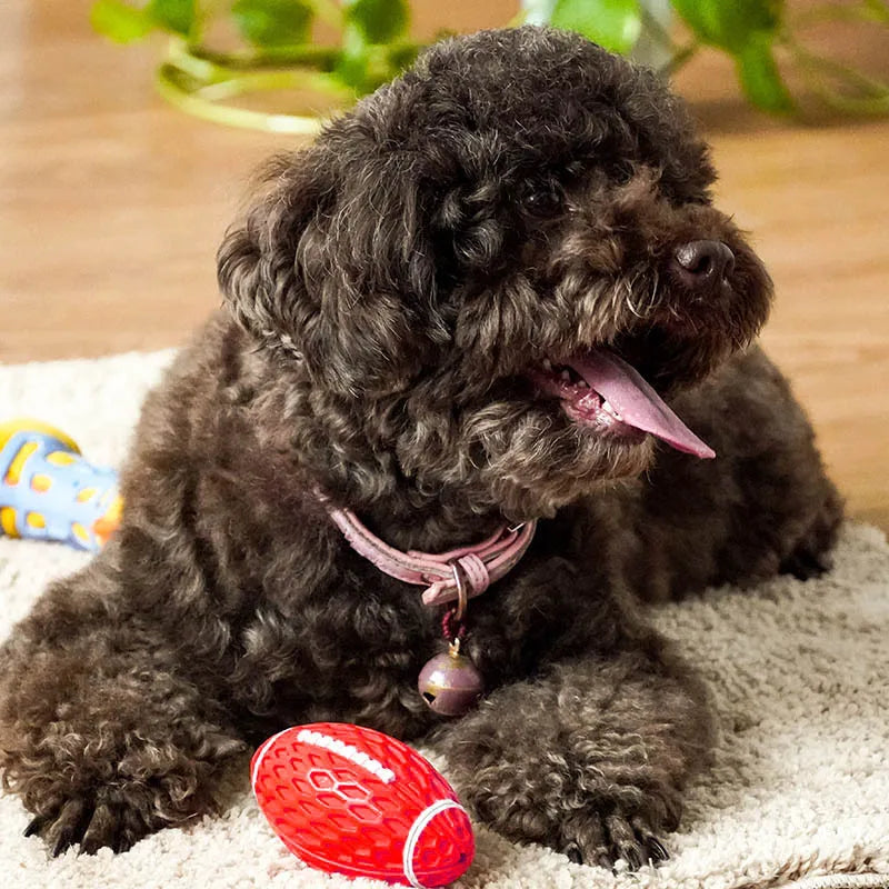 New Rubber Pet Dog Toy Rugby Football Squeaky Sounding Toys Teeth Cleaning Chew Toy Interactive Play Pet Supplies Accessories