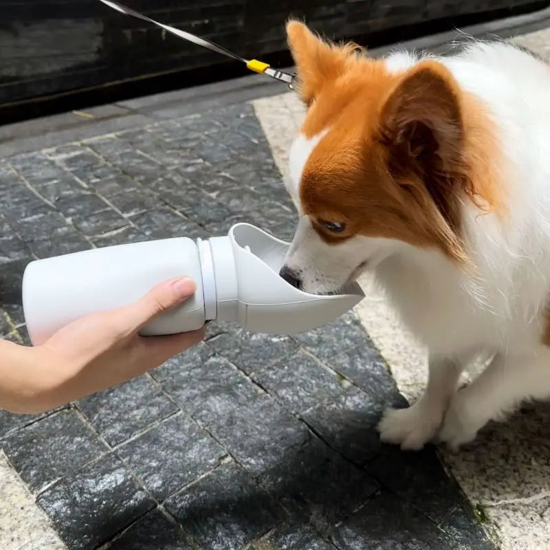 Dog Travel Water Bottle