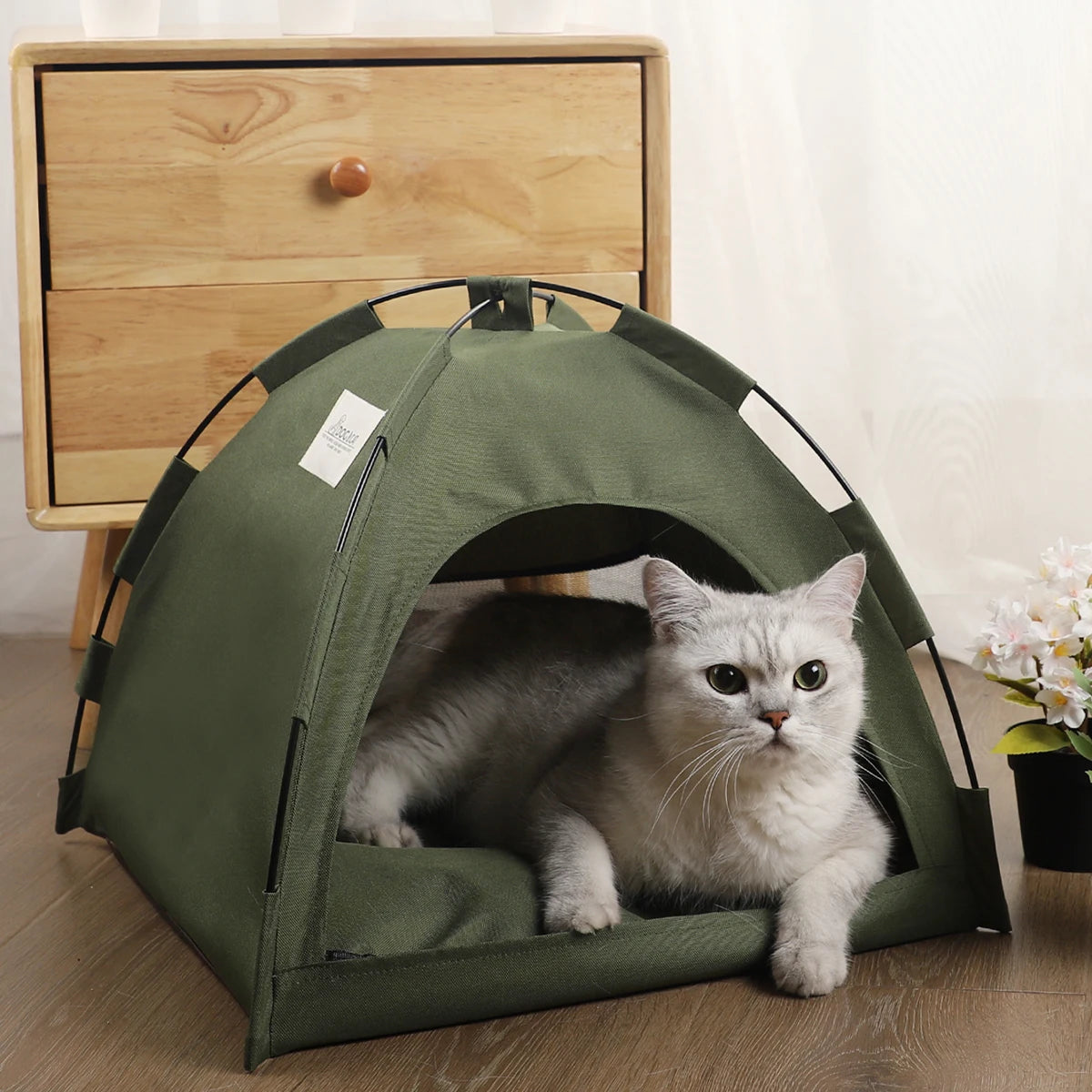 Cat Bed