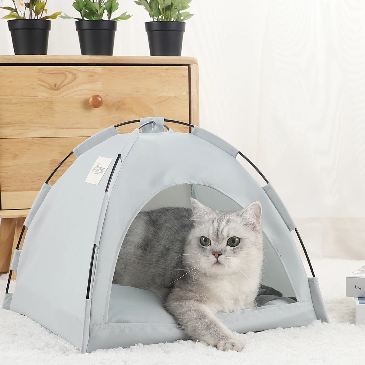 Cat Bed