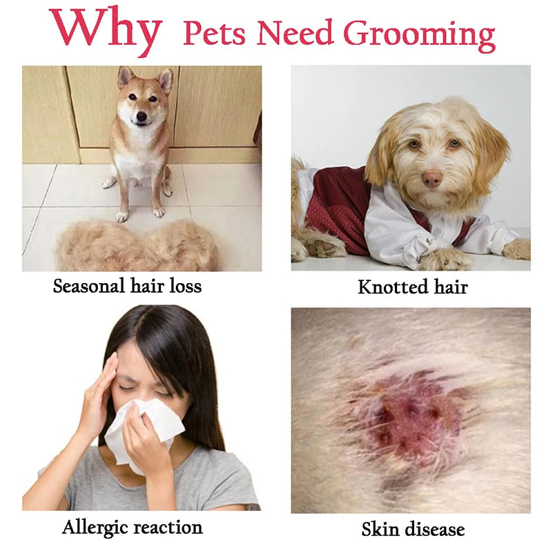 Professional Pet Hair Remover Brush