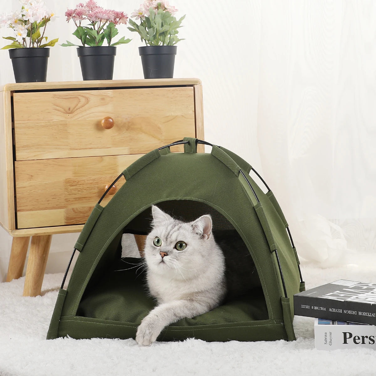 Cat Bed